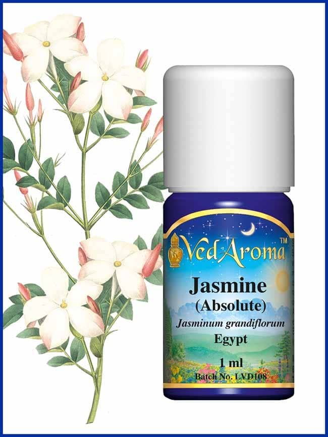 jasmine-absolute-essential-oil