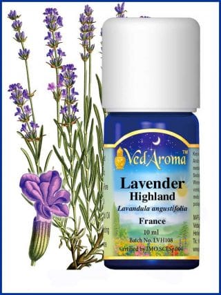 lavender-highland-essential-oil