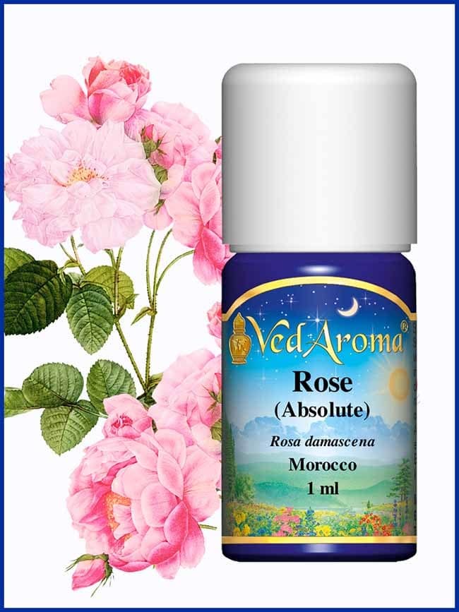 rose-absolute-essential-oil