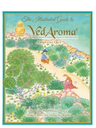 ac-vedaroma-illustrated-guide-2019-rosie_2