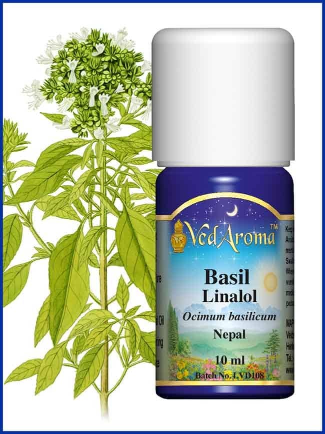 basil-linalol-essential-oil