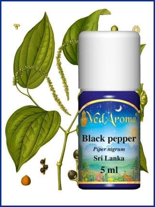 black-pepper-essential-oil
