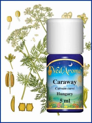 caraway-essential-oil