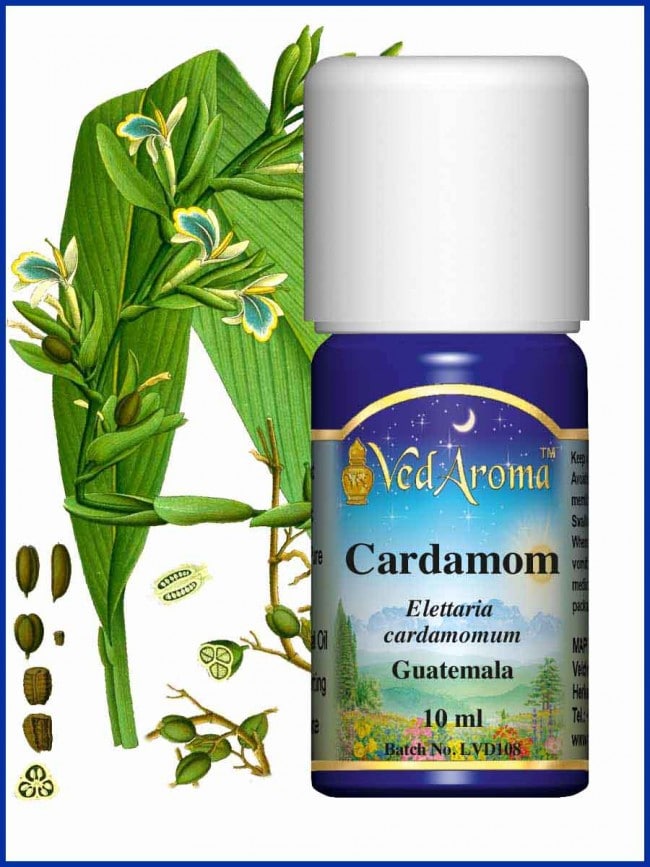 cardamom-essential-oil