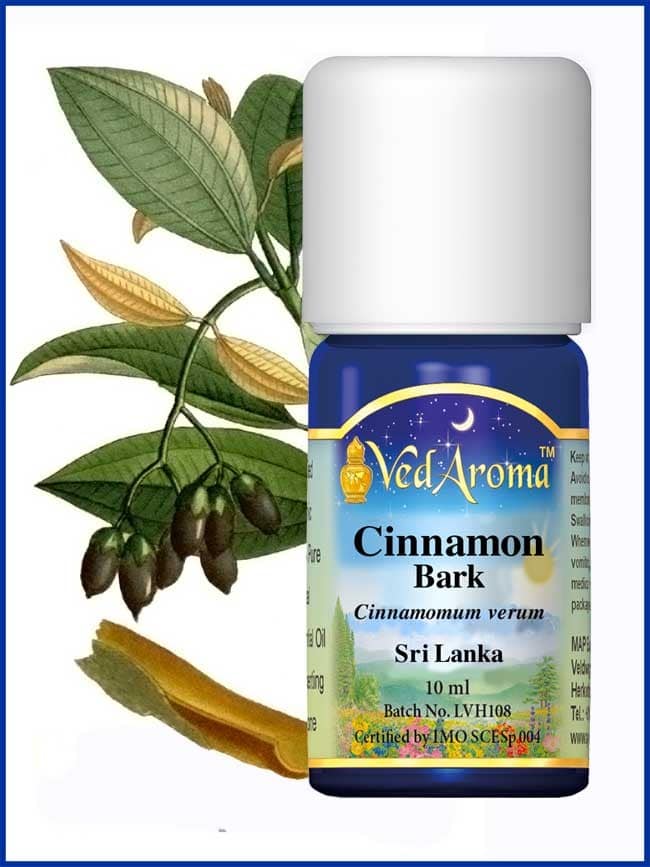 cinnamon-bark-essential-oil