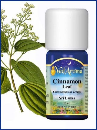 cinnamon-leaf-essential-oil