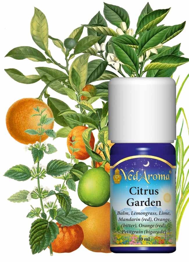 citrus-garden-essential-oils-blends