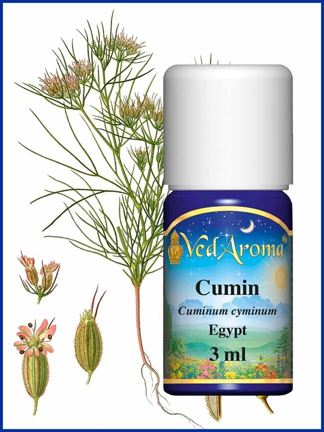 cumin-essential-oil