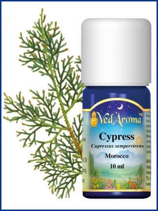 cypress-essential-oil