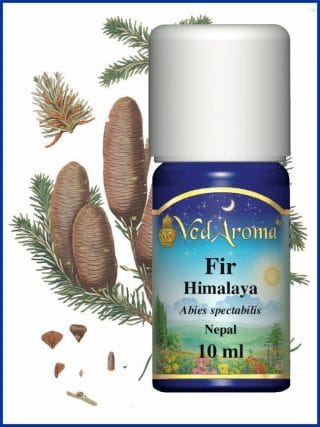 fir-Himalaya essential oil