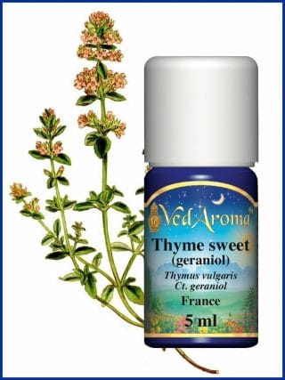 thyme-sweet-geraniol