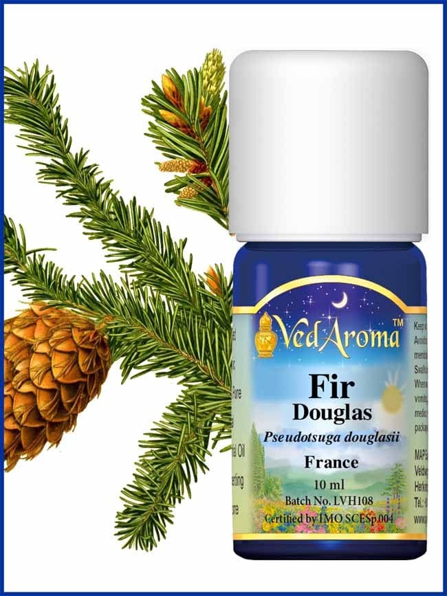 fir-douglas-essential-oil