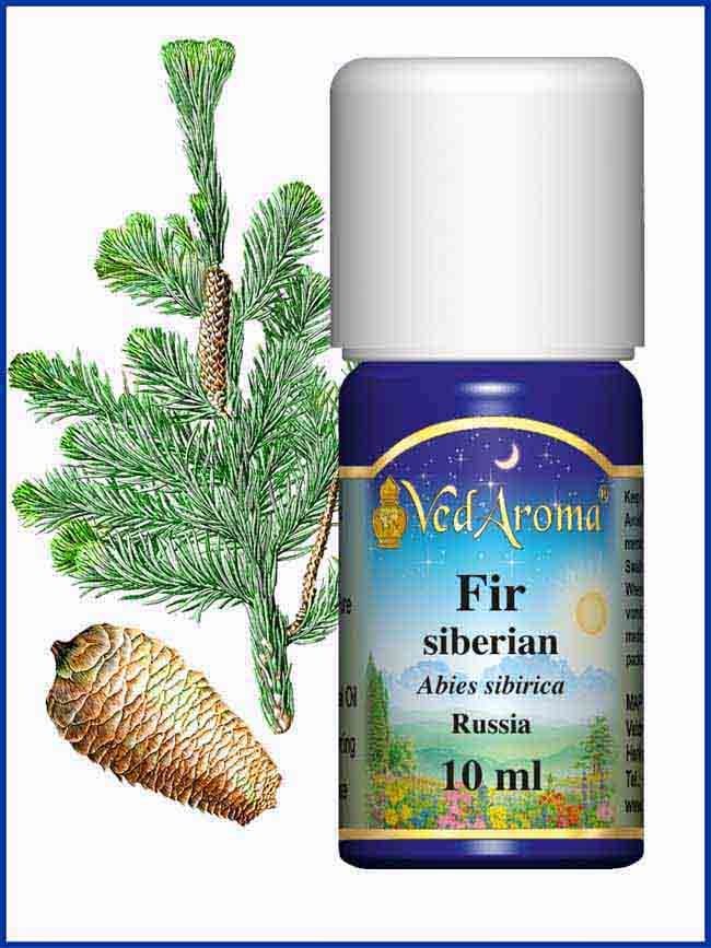 fir-siberian-essential-oil