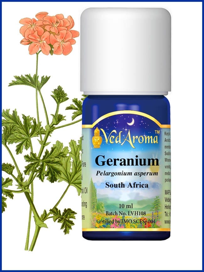 geranium_rose-sa-essential-oil