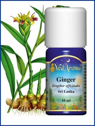ginger-10ml-essential-oil