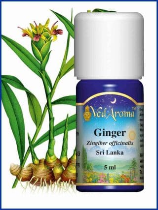 ginger-5ml-essential-oil