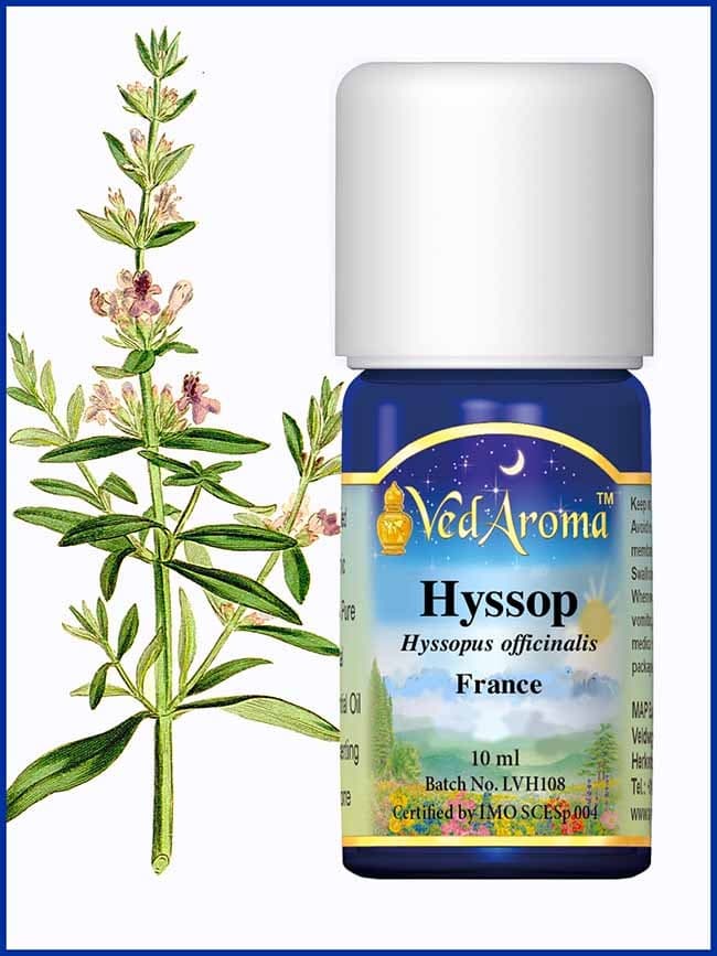 hyssop-essential-oil