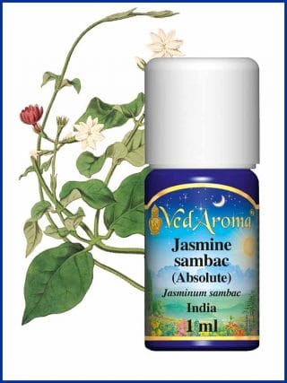jasmine-sambac-absolute essential-oil