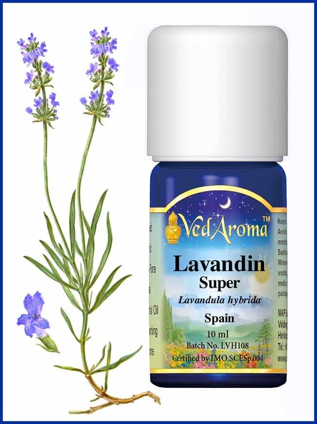 lavandin-super-essential-oil