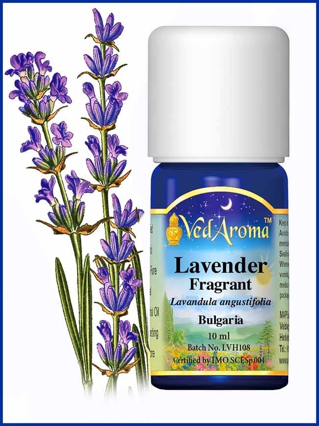 lavender-fragrant-essential-oil