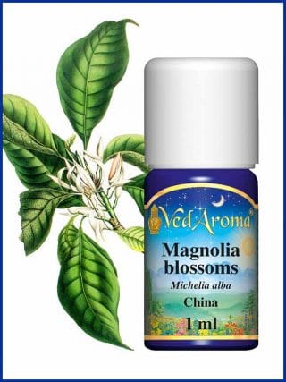 magnolia-blossom-essential-oil