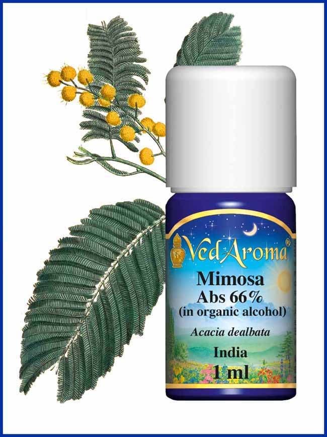mimosa-essential-oil