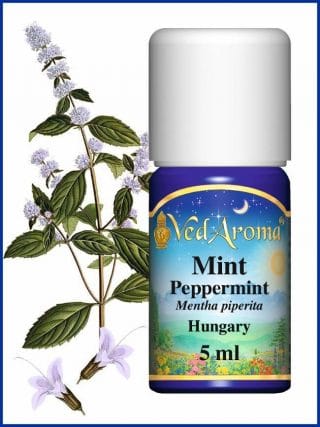 mint-peppermint-essential-oil-from-hungary