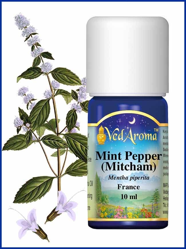 mint-peppermint-micham-essential-oil
