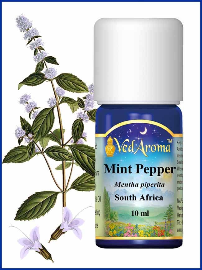 mint-peppermint-sa-essential-oil