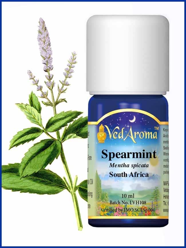 mint-spearmint-essential-oil