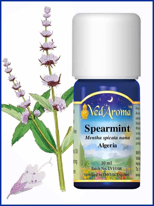 mint-spearmint-nana-essential-oil