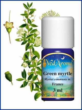 myrtle-green-essential-oil