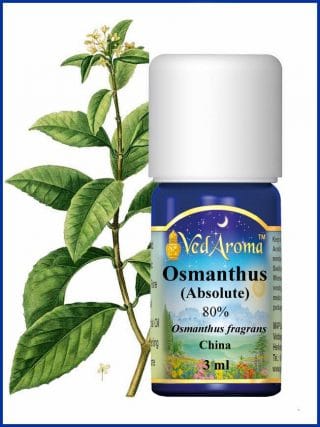 osmanthus-3ml-essential-oil