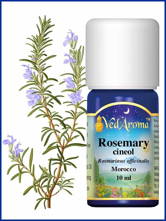 rosemary-cineol-essential-oil