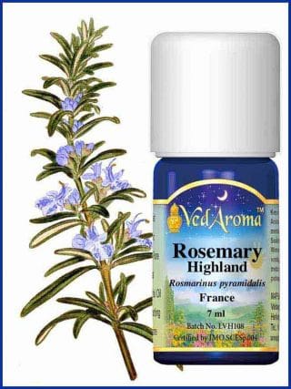 rosemary-highland-essential-oil