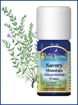 savory-mountain-essential-oil