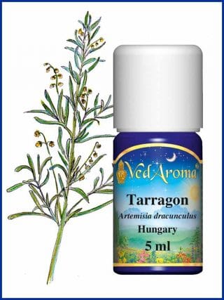 tarragon-essential-oil
