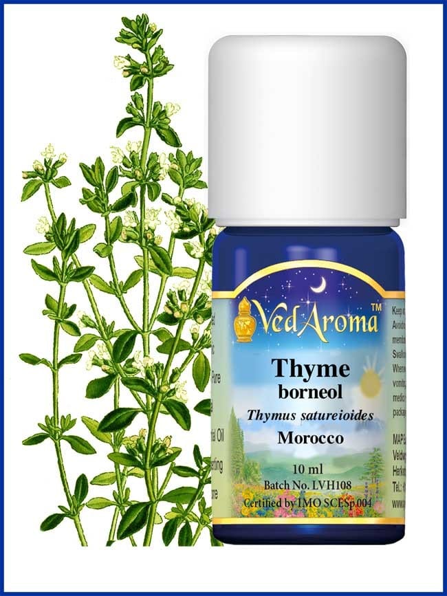 thyme-borneol-essential-oil