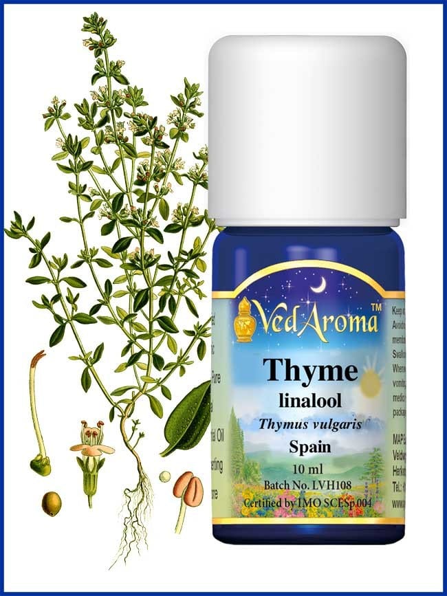 thyme-linalool-essential-oil