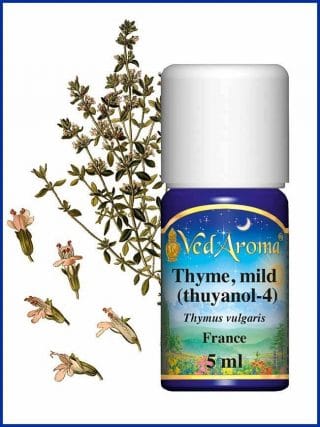 thyme-mild-thujanol-4-essential-oil