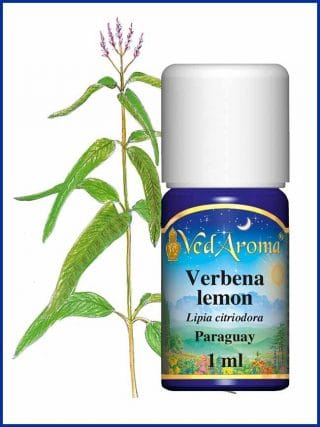 verbena-lemon-essential-oil