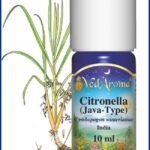 citronella essential oil