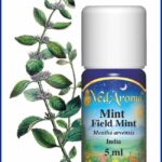 mint essential oil