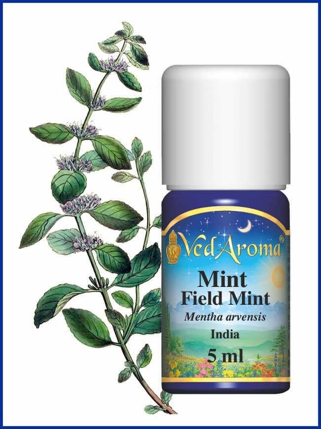 mint essential oil