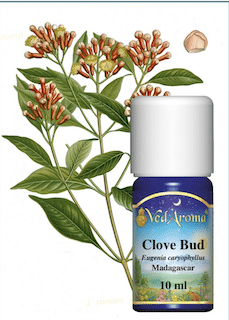 Atherisches Nelkenknospenol