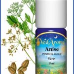 anise essential oil
