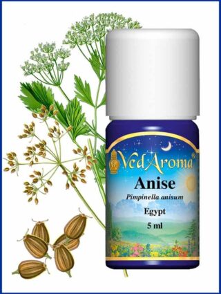 anise essential oil
