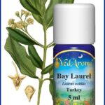 bay laurel essential oil