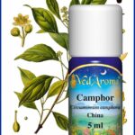camphor essential oil