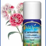 carnation absolute
